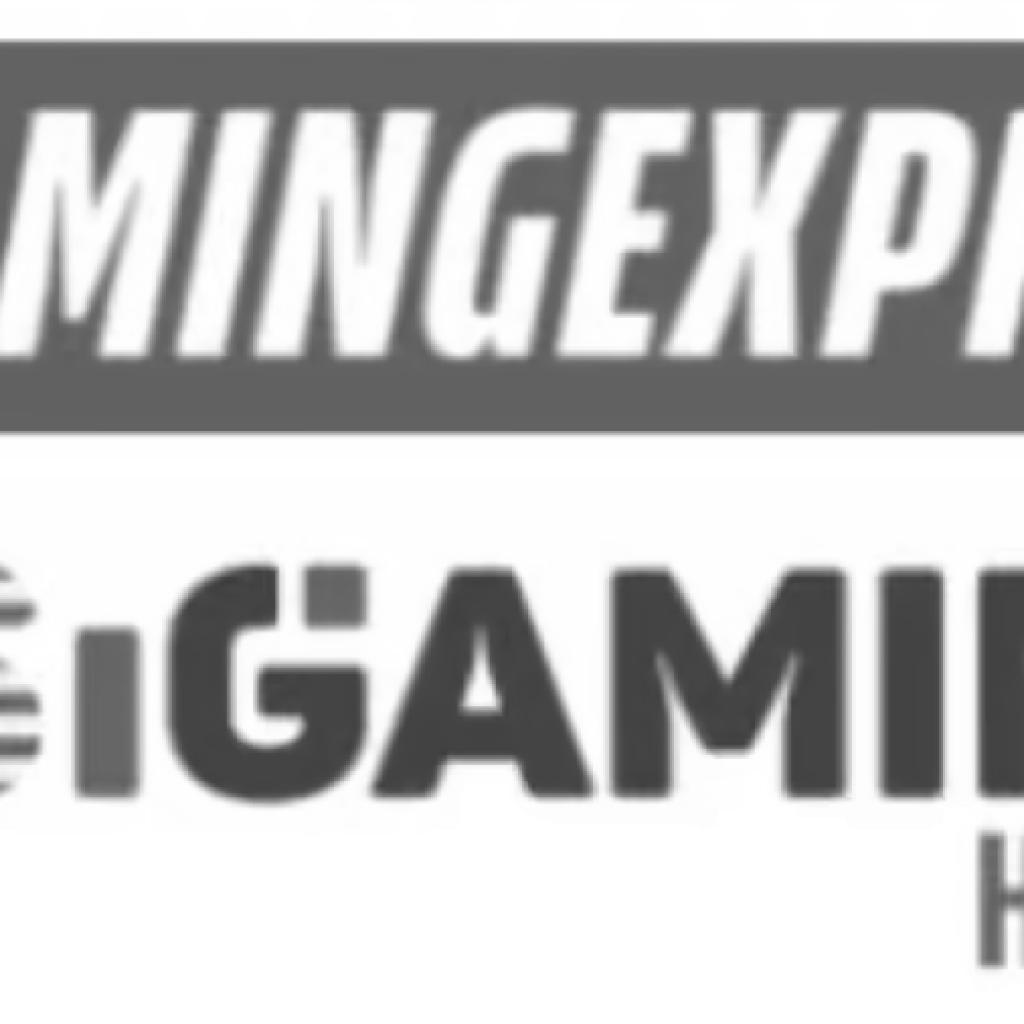 IGE-USiGH Newsletter