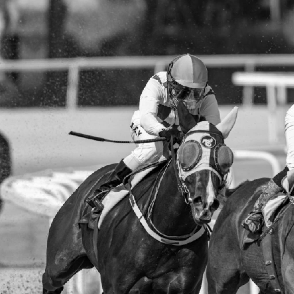 Freebets.com signs exclusive ambassador deal with The Racing Blogger